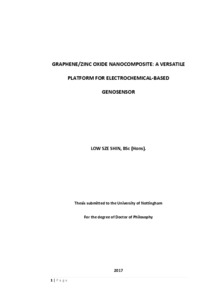 phd thesis on graphene oxide